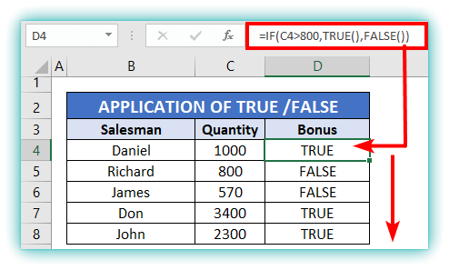 true and false formula/function in excel with example